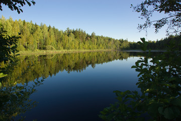 Fototapeta na wymiar Summer day at a forest lake