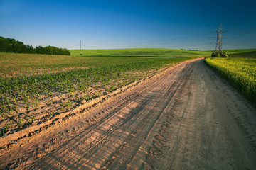 Green Field