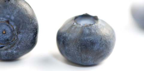 Blueberry shot in extreme close-up