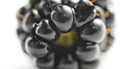 single blackberry shot in extreme closeup