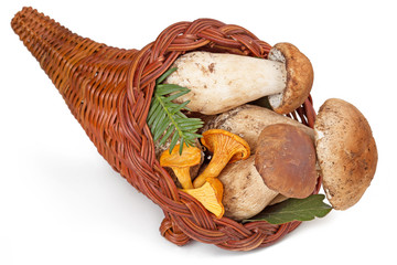 cornucopia filled with fresh ceps and chanterelles