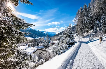 Gordijnen Panorama hiking pass above Davos, Switzerland. © borisbelenky