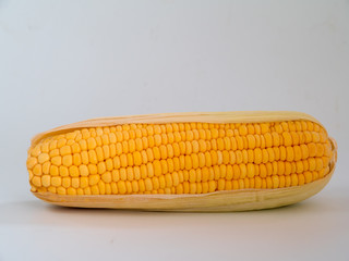 The fruit is a pod corn