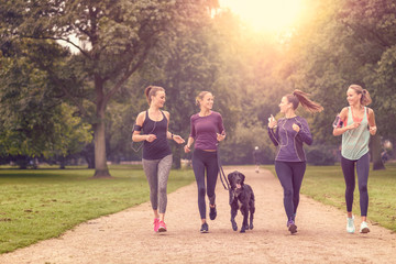 Gesundheitsbewusste Frauen laufen im Park mit ihrem Hund