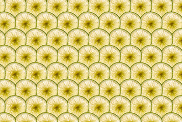 perfect rows of ripe green lime slices