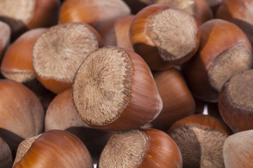 group of hazelnuts in husks close up