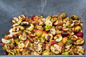 Wheel barrow full of chopped discarded apples - landscape