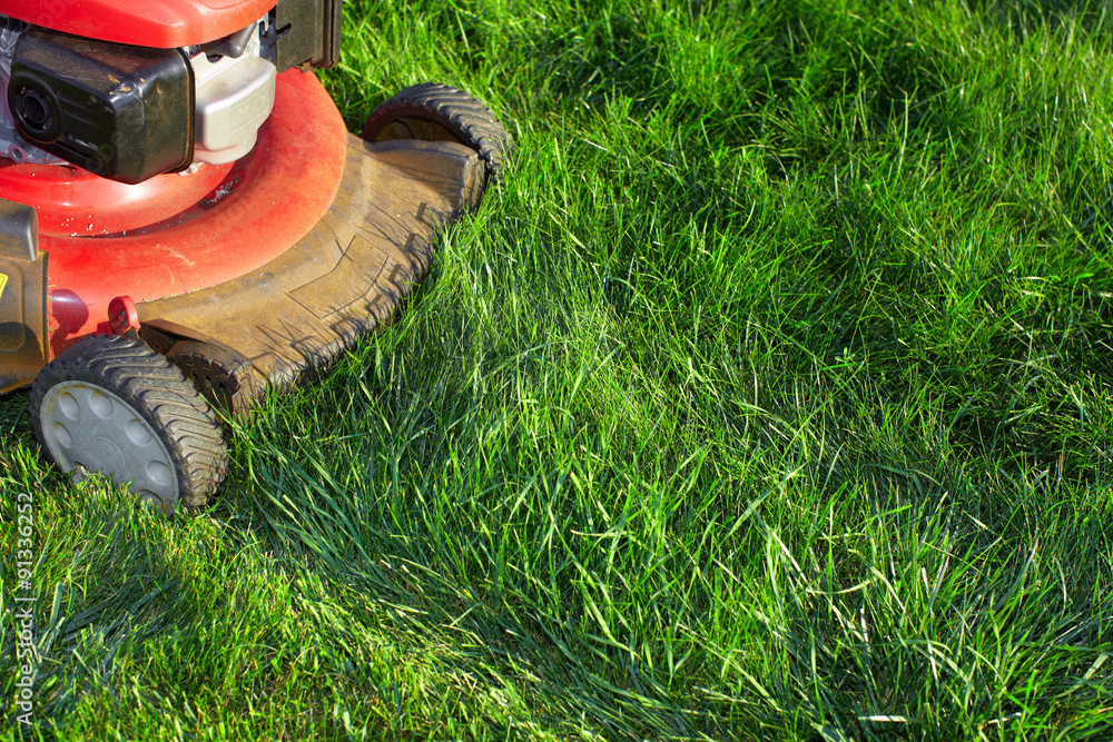 Canvas Prints lawn mower cutting green grass.