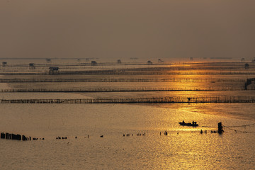 Naklejka premium Silhouette of fisherman at oyster farm on sunrise background in Bang Taboon, Thailand