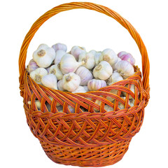 Basket with garlic.