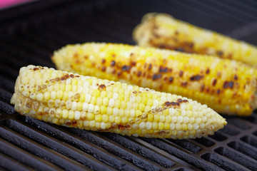 Corn roast on barbecue grille.