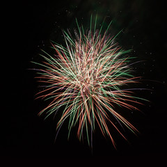 Obraz premium Fireworks in the night sky