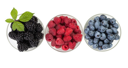 Berries.