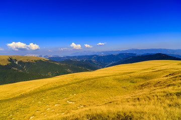 mountain landscape with yellow grass plateau