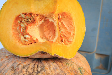 Detail of piece of pumpkin.