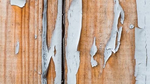 Real Wood Texture Vintage Background. Old And With Peeling Paint