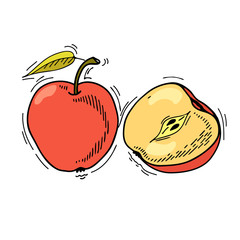 Vector apple