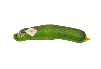 Molded vegetable marrow (zucchini), isolated on white background
