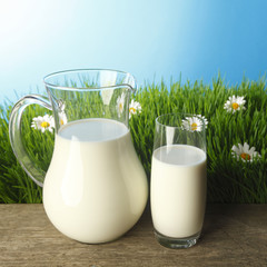 Glass of milk and jar on flower meadow