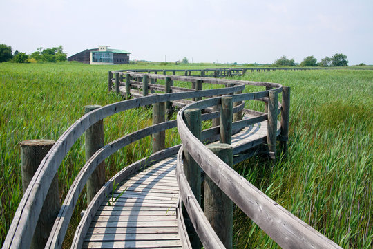 sola della cona riserva naturale laguna di grado camminamenti turistici sulle foci monfalcone