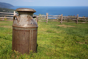 Milk churn