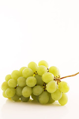 新鮮なマスカット