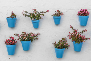 Blue flowerpot on a wall