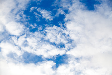 Obraz premium Old painted wood wall