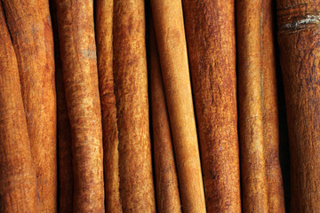 cinnamon close up