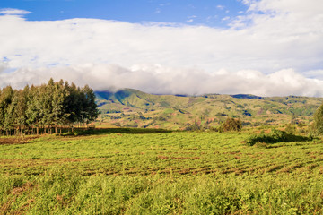 Naklejka premium Rural landscape Tanzania