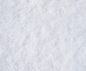 Fototapeta premium fresh snow