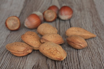 Amandes et Noisettes