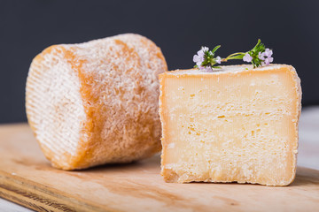 Charolais chevre french goat cheese. studio shot
