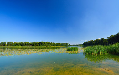Plakat Lake.