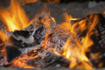 bonfire closeup