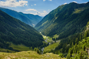 Mountain valley in a summer day