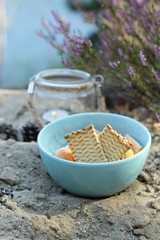 autumn picnic/ butter cookies and latern outdoors