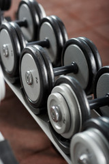Dumbbells on the rack in the gym
