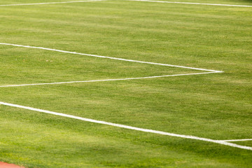 Obraz premium football field