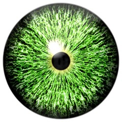 Realistic green eye generated isolated background