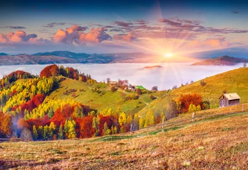 Schilderijen op glas Colorful autumn sunrise in the Carpathian mountains. © Andrew Mayovskyy