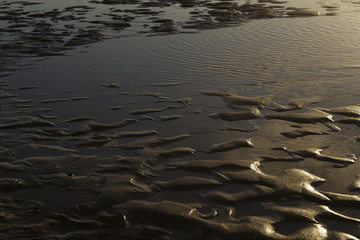 Belgium coast with sand ripples and in the water reflection of the sun