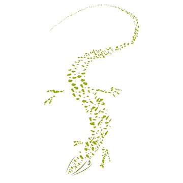 Decorative green lizard. Graphic style of lizard isolated on white background.