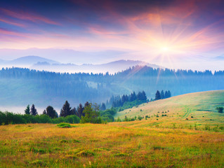 Plakat Colorful summer sunrise in the foggy Carpathian mountains.