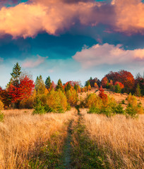 Fototapeta premium Colorful autumn sunset in the Carpathian mountains.