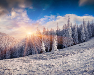 Sunny winter morning in the Carpathian mountains.