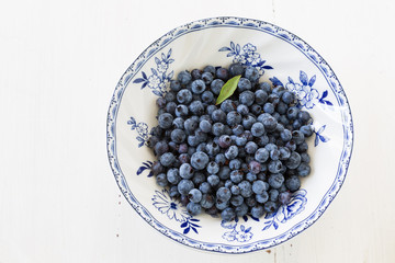 Wild Blueberries