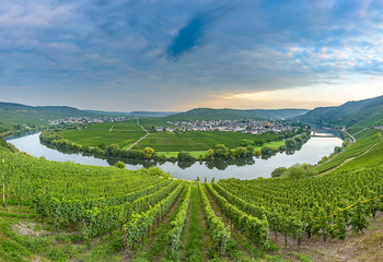 Weinberge an der Moselbiegung