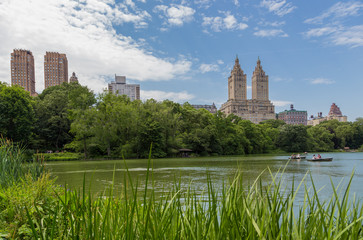 Obraz na płótnie Canvas activity in Central park in summer, NYC.