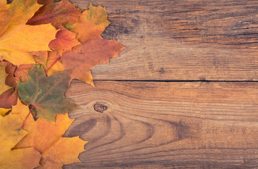 Naklejka na ściany i meble autumn frame from maple leaves vintage toning
